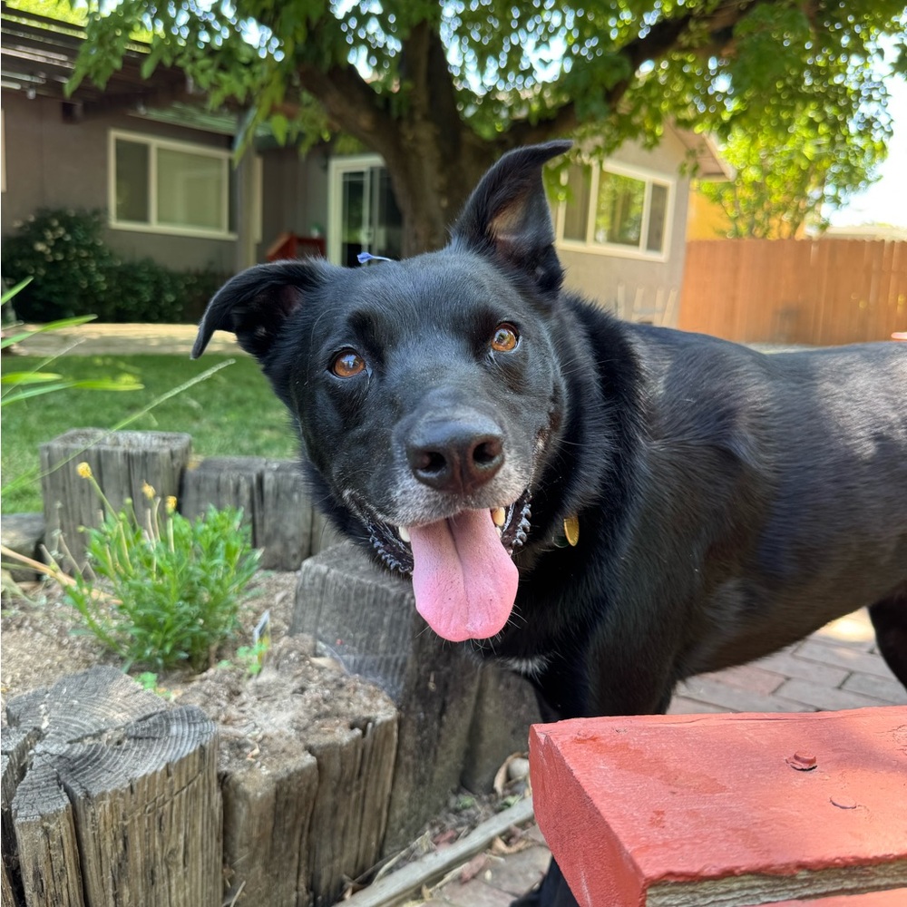 Meet your Posher, Julie